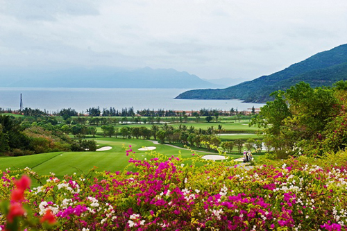 Hoa giấy tô điểm vẻ đẹp của Vinpearl Golf Club Nha Trang